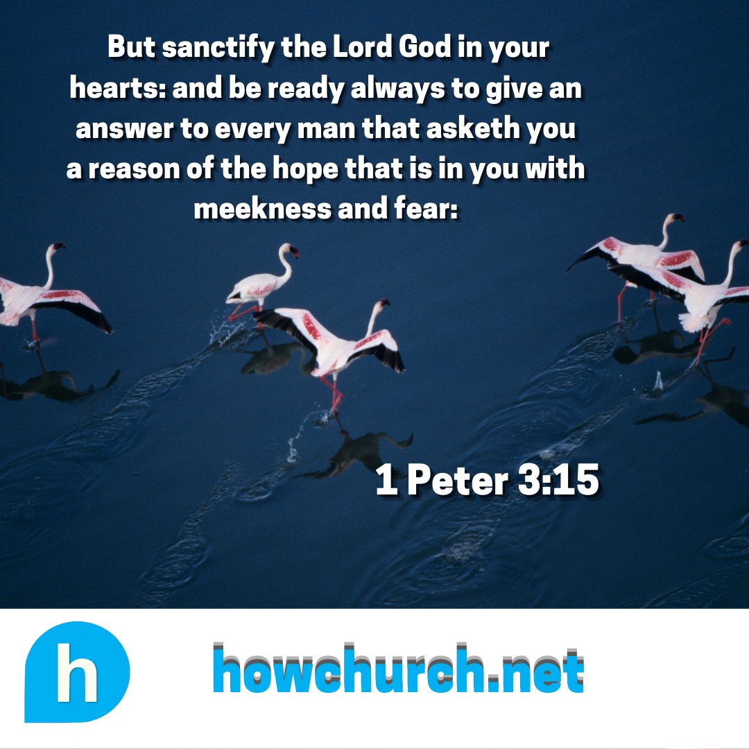 Good morning!! Here's a passage to help you all get over the hump! #HOWCHURCH #scripture #hurdleoverhumpday