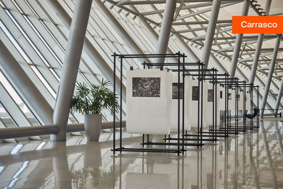 Aeropuertos Uruguay tweet media