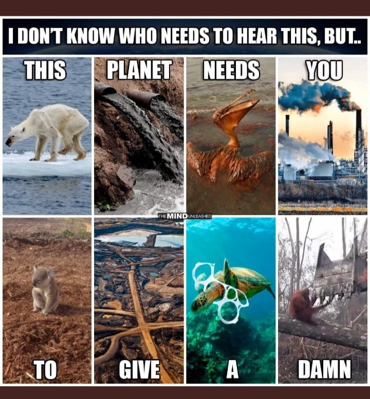 💚🌱 #Veganuary #Veganuary2022