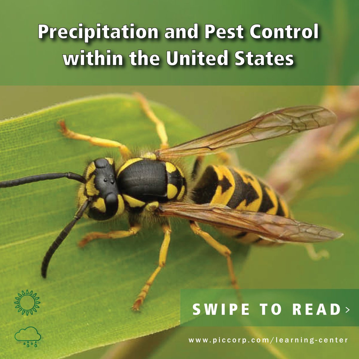 PestFreeLiving's tweet photo. Are you prepared for all that Spring rain brings along? Not only do mosquitos thrive from moisture, rain is a perfect scenario for many other pests to take shelter in your homes. https://t.co/OBkfotFaQ6
