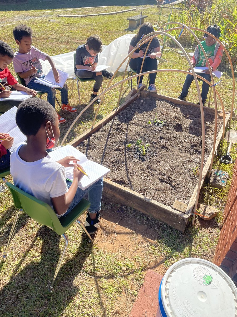 AmyWinfree's tweet photo. We did it!!!!! Cannot wait to show the kids how well our pumpkin plants are doing!!!! #kiddesigned #greenhouse @patchworkcityfarms https://t.co/zF1VsslbId