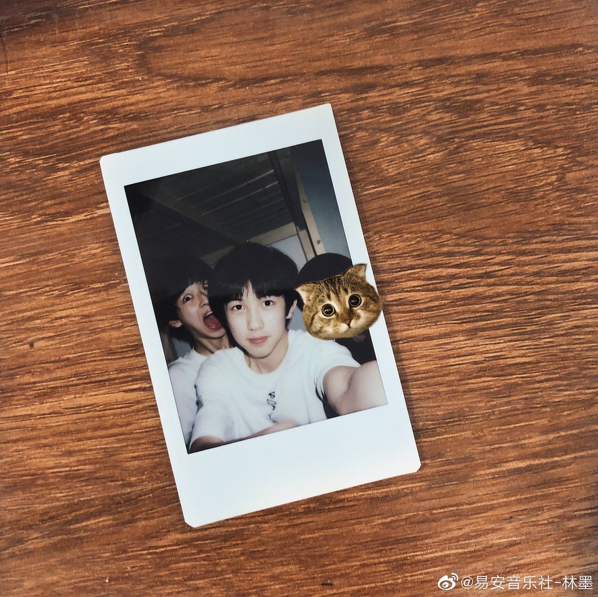 Hngqilin's tweet photo. Happy 20th birthday momo!🎉♥️ I wish you all the best and happiness in life 你值得你現在擁有的東西，去年發生在我身上的最好的事情就是見到你 from now on 每次您慶祝生日時，我們總是在這裡為您服務 you're too precious for me+
#Happy20thLinMoDay #LinmoDay
#Happybirthdaylinmo #林墨 https://t.co/3BSy0SzMaN