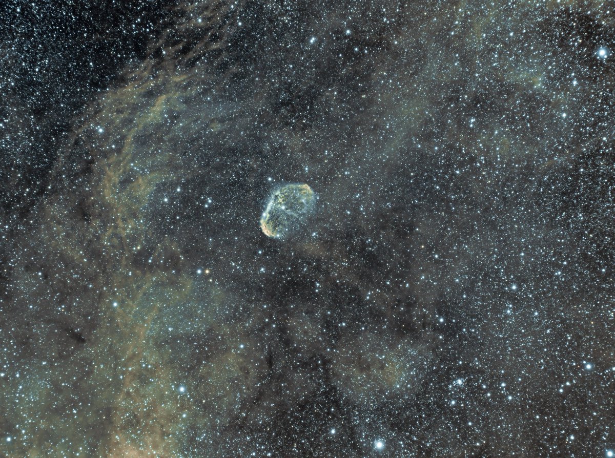 jzhnutz's tweet photo. Crescent Nebula - Simulated SHO - Meade Series 6000 80mm Triplet APO, Canon EOS Ra &amp; Optolong L-eNhanced Filter - Full details in link: https://t.co/99o1vPh5dn #astronomy #astrophotography #photography #ShotOnCanon #meadeinstruments #RhodeIsland https://t.co/ue6kNqf5KA
