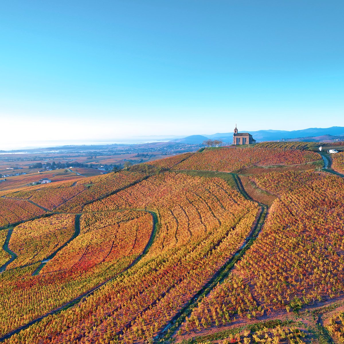 Les 4 saisons sur la Madone de Fleurie ❄️🌼☀️🍂 

📸 Vins du #Beaujolais / F.Ferrer (1,2,4) et E.Ramousse (3)
📍 #Fleurie, lieu-dit La Madone 

#VinsduBeaujolais #Fleurie #CruFleurie