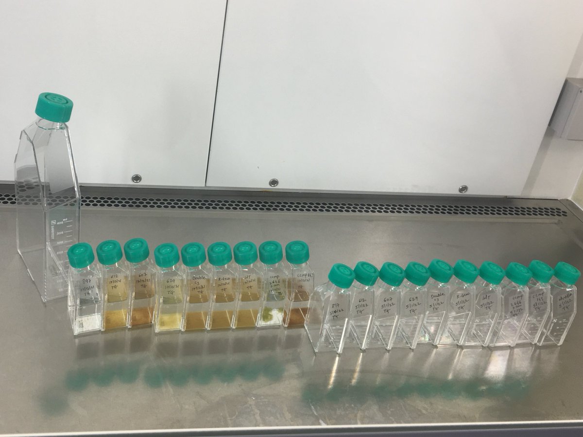 Dr. Trupti Gaikwad tweet media