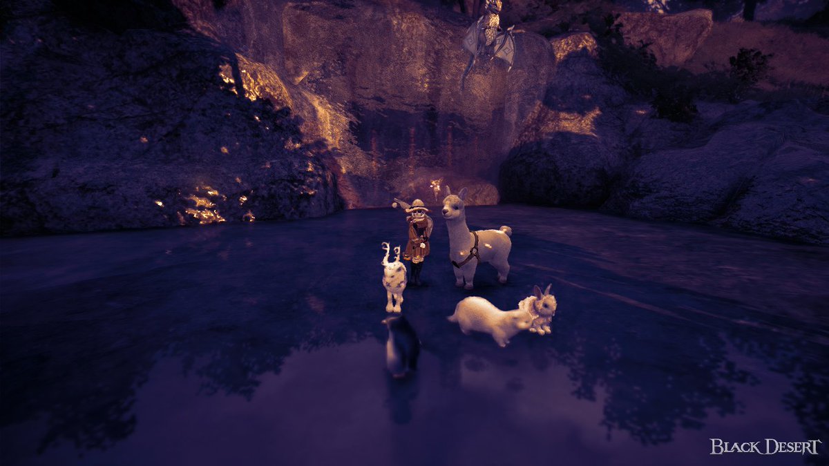 Maxsychoute's tweet photo. cuties 
#BlackDesert #IceFishing #Alpaca https://t.co/Y6yQEeeb5w