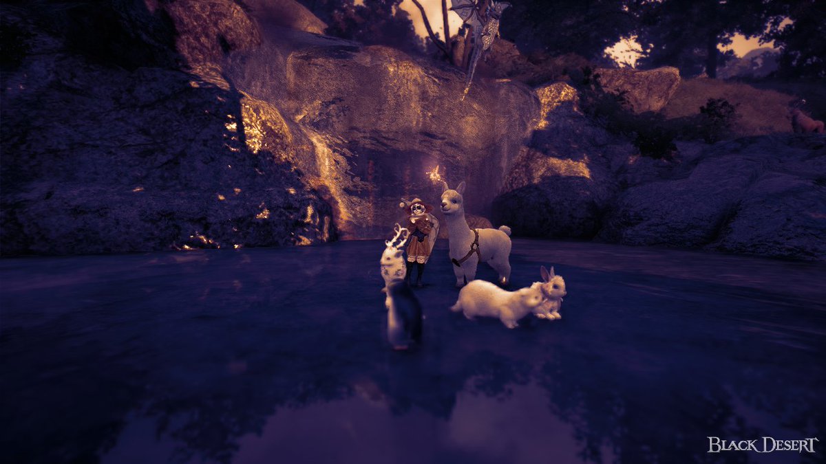 Maxsychoute's tweet photo. cuties 
#BlackDesert #IceFishing #Alpaca https://t.co/Y6yQEeeb5w