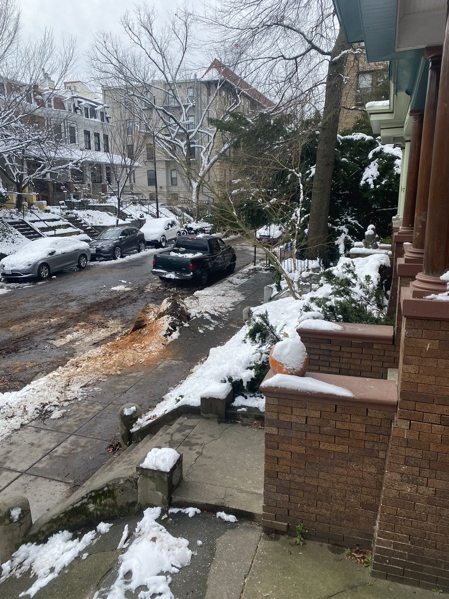 ScottTaylorTV's tweet photo. Ontario Place NW in DC is back open after a tree fell & blocked the street since Monday. Multiple cars damaged but nobody hurt. @7NewsDC #dmvsnow https://t.co/6GxmaKquAV