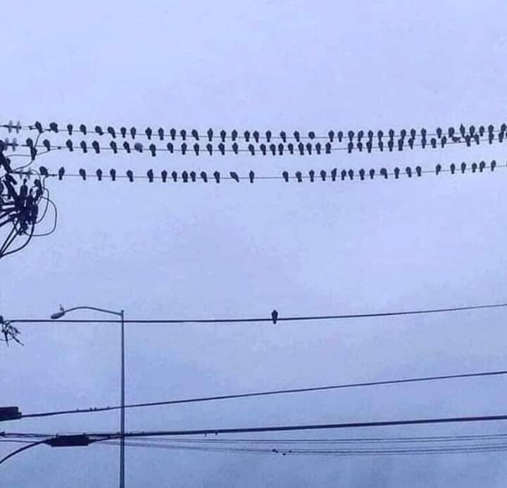 Nini_MacBright tweet media