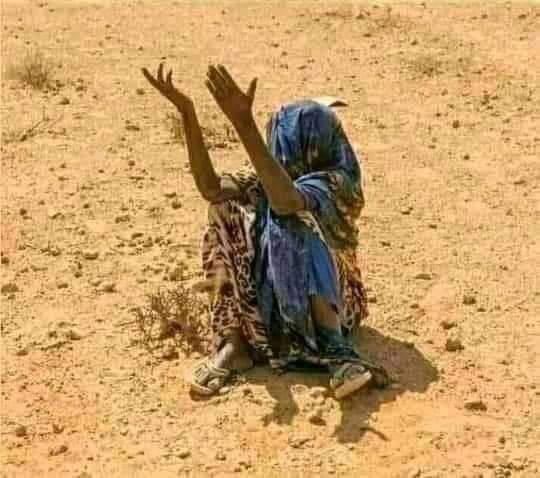 AbdimalekFarah's tweet photo. Dawladda iyo Shacabkuba hadday isku, marnaba kuma filnaan karaan baahida biyaha iyo calafka si #Xoolaha iyo #Dadkaba loo badbaadiyo. Balse haddana, waxaa xaqiiq ah in gurmad wax ku ool ah la sammeyn karayo haddii si hagar la'aan ah loo hawlgalo. https://t.co/XCBMJoFuY3