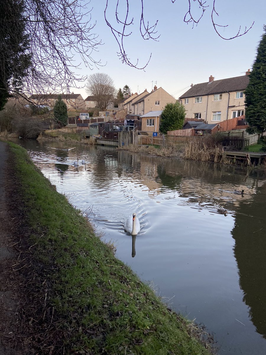 MrsWhiteLancs's tweet photo. With it getting dark so early these days, my bursar and I decided to head out for a quick walk near the canal straight after school today. Feel so much better for it! A good way to end the day ❄️☀️ #januarywellbeing https://t.co/KT9qjOBLlw
