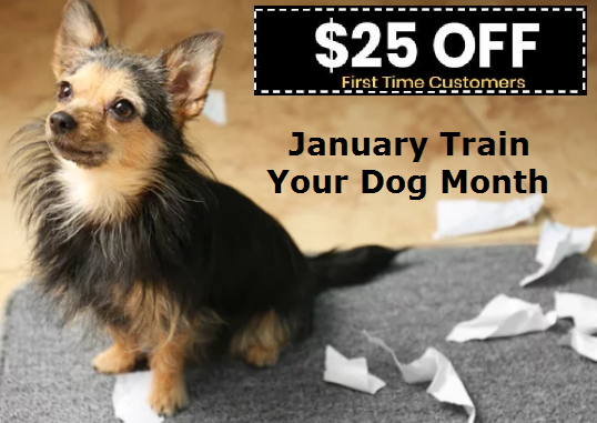 ValueDog tweet picture