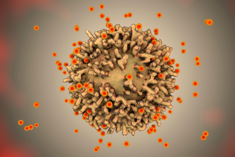 Nature Biotechnology tweet media