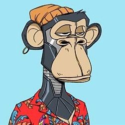 TODw's tweet photo. 'All your ape are belong to us.' A New York collector of NFTs (non-fungible tokens) has lost 16 Bored Ape Yacht Club (BAYC) tokens worth $2.2m to a hacker.  BAYC is a 10,000-piece digital art collection of cartoon apes in various regalia. #allyourbase #bayc #apeshit 😎🦥 https://t.co/50mEjRxGeI