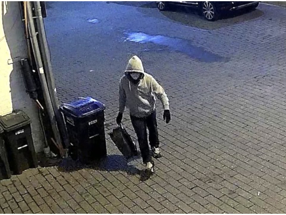 greg_price11's tweet photo. Been one year since the pipe bombs were planted at the DNC and RNC. How is it possible that the FBI has not been able to identify down who this person is? https://t.co/PPBtKkKP23