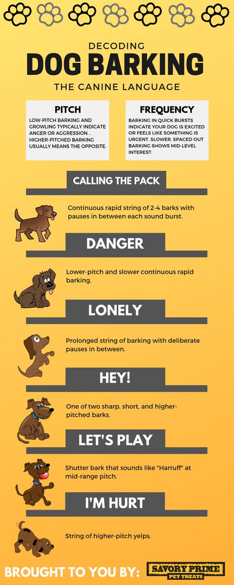 WelcomeDogPack's tweet photo. Deciphering your Dog's Bark.
#dogs #dogsarefamily #welcometothedogpack #dogbarking #helpfulinfo https://t.co/q4pCbP1zfh