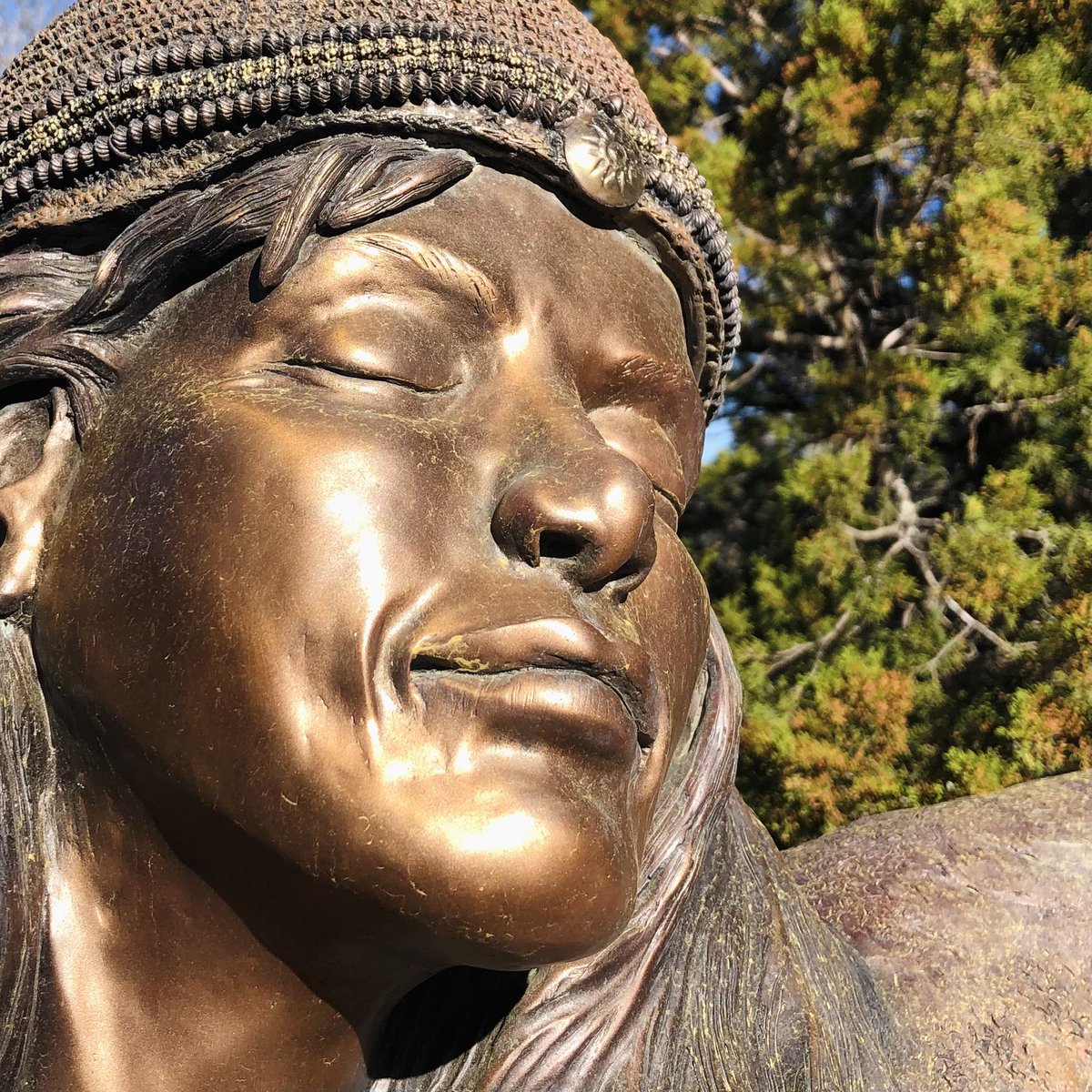 Wizard Academy tweet media