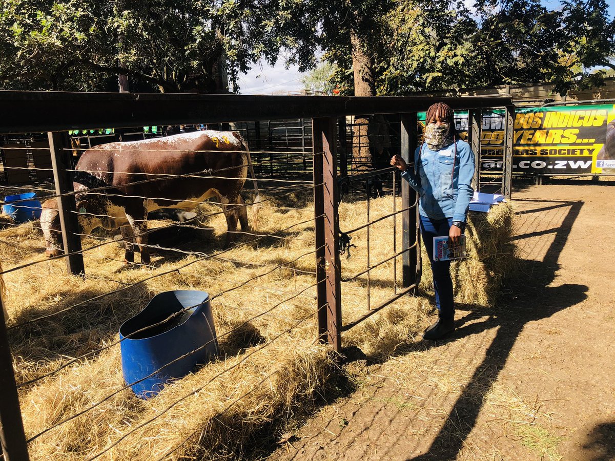 To learn...To Experience...To Understand and Relate.  That is Beauty #NationalBreedSale