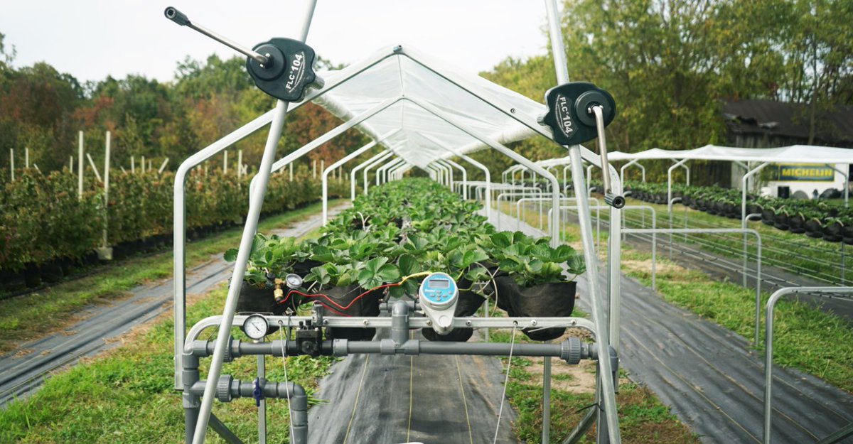 IBEX Grows tweet media