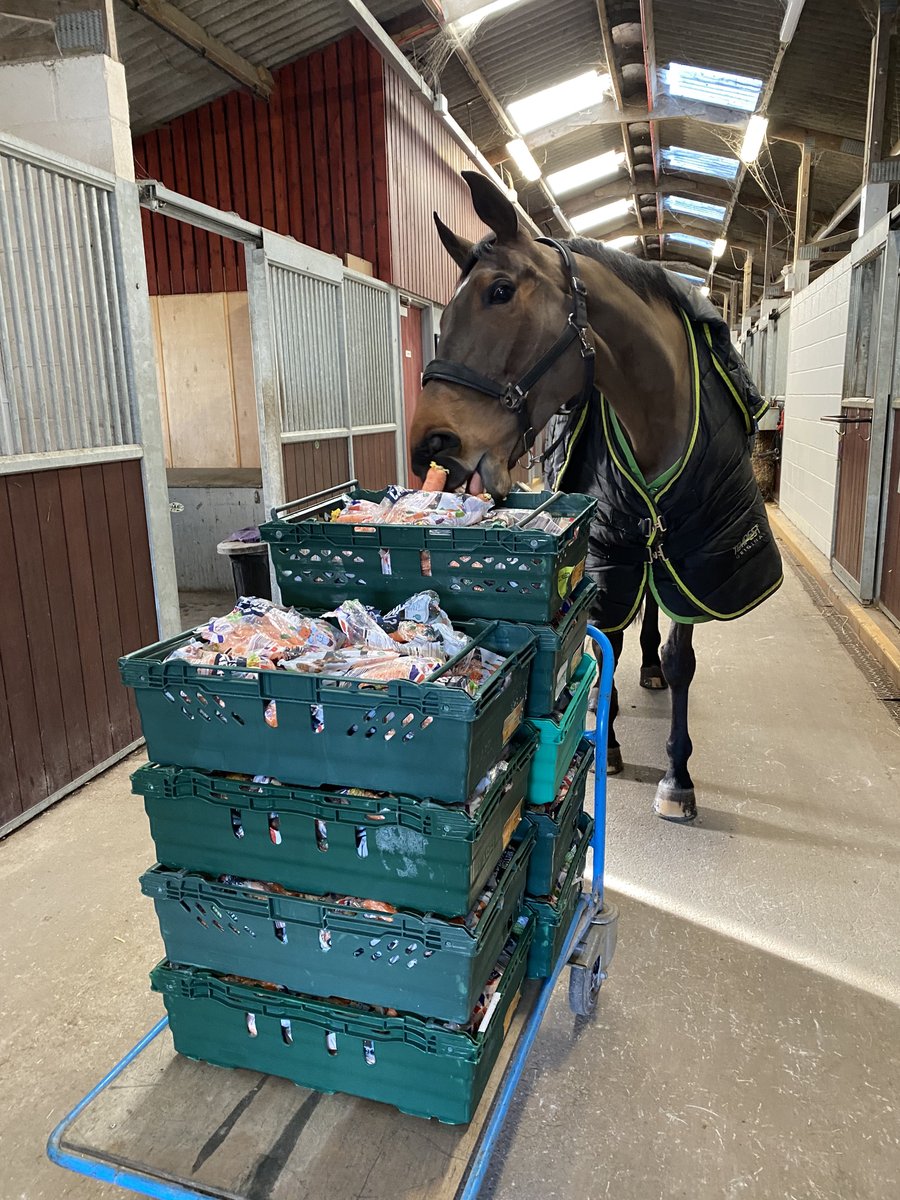 ASPoliceHorses tweet media