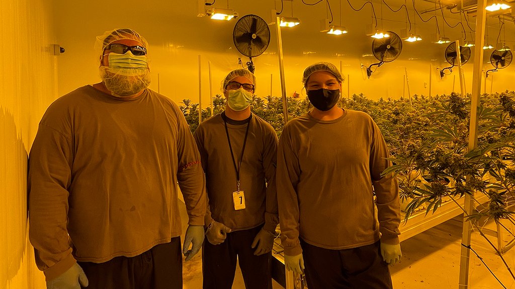 This fall, Ontario welcomed two new Indigenous cannabis companies to the legal marketplace. We spoke with <a href="/7evenleaf/">SevenLeaf</a> and <a href="/redmarketbrand/">Red Market Brand</a> about how they’re helping pave the way toward economic reconciliation: bit.ly/3qTLDzG