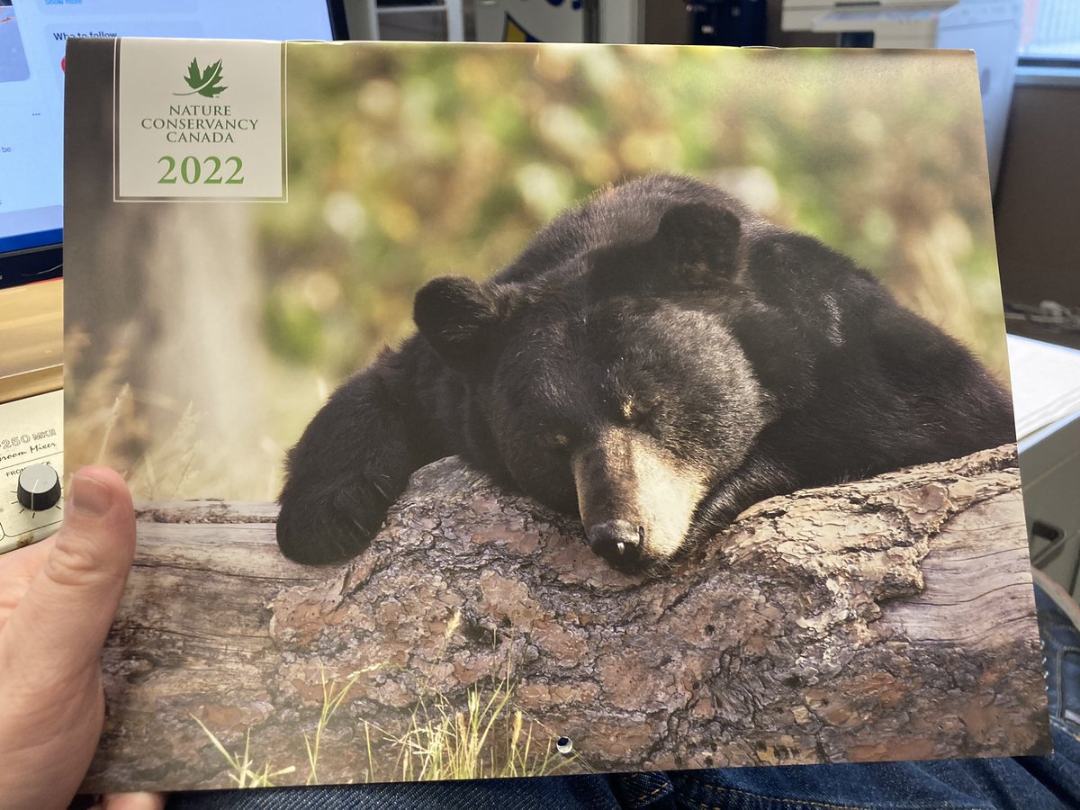 Shout out to the <a href="/NCC_CNC/">NatureConservancy.ca | Conservationdelanature.ca</a> for the gorgeous 2022 calendar! Thanks so much guys 😁