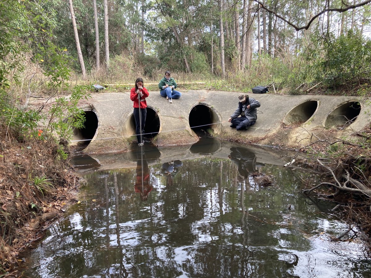 Matthew Deitch tweet media