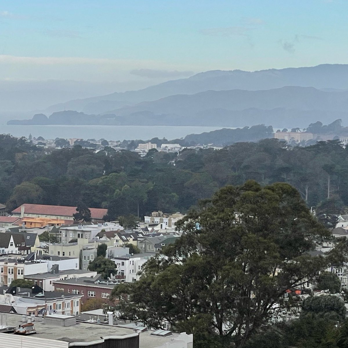 ambianceSF's tweet photo. If you have to be a one-hit wonder, then San Francisco is the one to have." - Scott McKenzie.
*
*
*
#sanfrancisco #mysf #alwayssf #howsfseessf #sf #viewofthecity #sanfranciscolife #sanfrancisco #streetsofsf #beautifulday #beautifulsf #citybestviews #lovesf https://t.co/MGgfiW3zic