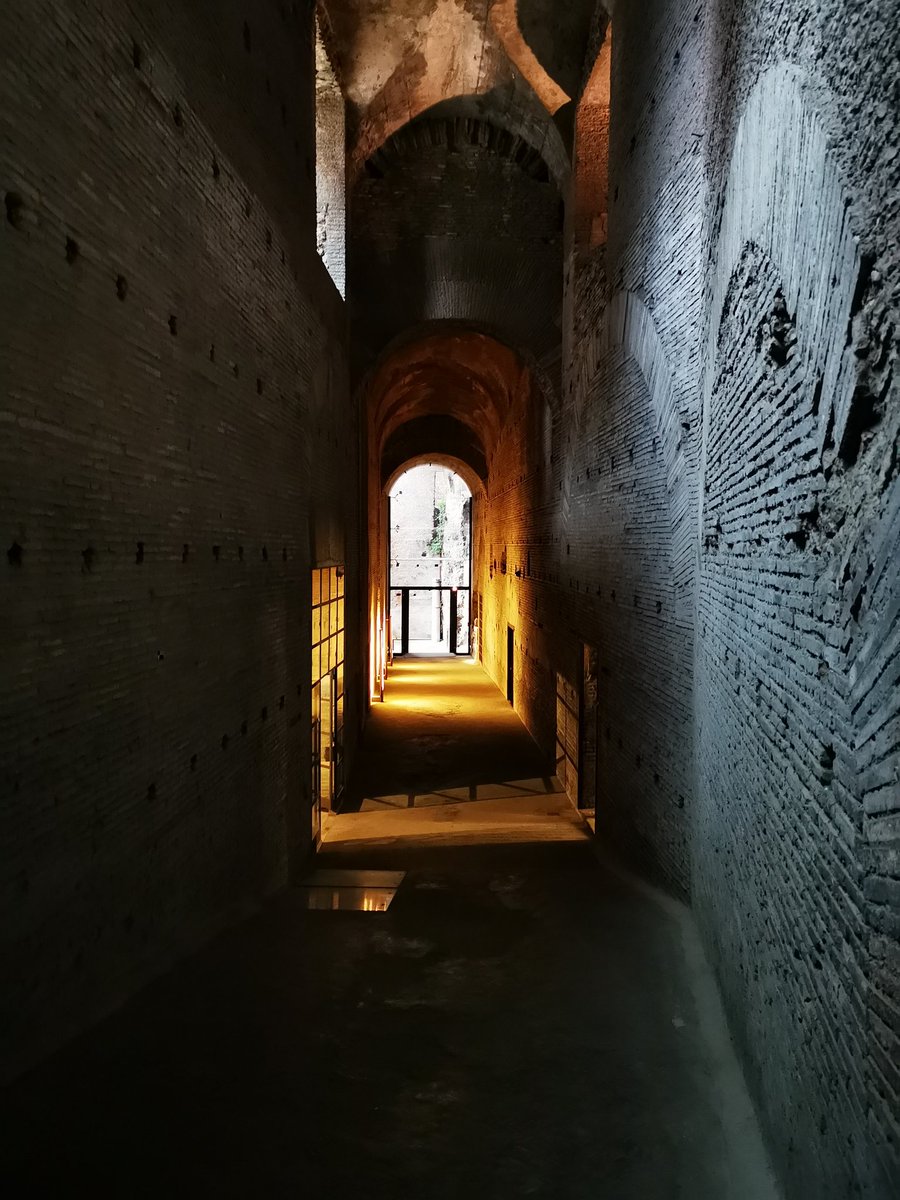 @sasso333 It's newly open again as part of a big exhibition about the pioneering archaeologist Giacomo Boni. Along with the Domitianic ramp.