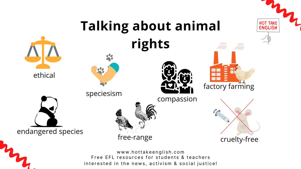 Our fight for a fair &amp; equal society has to include the rights of non-human animals.

Here are some important words to learn on the topic of animal rights 🐭🐷🐮

#learnenglish #englishvocabulary #englishvocab #englishforactivists #animalrights #animalrightsactivism  #tefl #efl