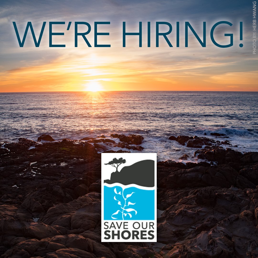 SaveOurShores's tweet photo. If you love the ocean, care about protecting our marine ecosystems, and want to help make a better world, please consider applying for one of our two open positions:
Development &amp; Fundraising Manager 
https://t.co/COaU8r5ctH
Volunteer &amp; Outreach Associate 
https://t.co/rfS5h9jDSZ https://t.co/EHBL8Ldyok