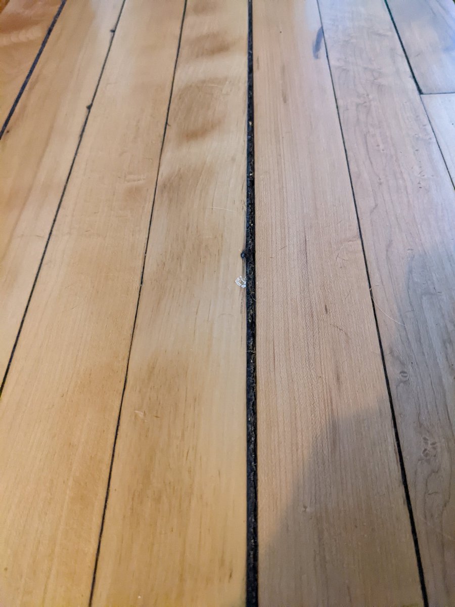 Hardwood floor gaps are all lil and symmetrical and then BAM there's a big girthy, chody one