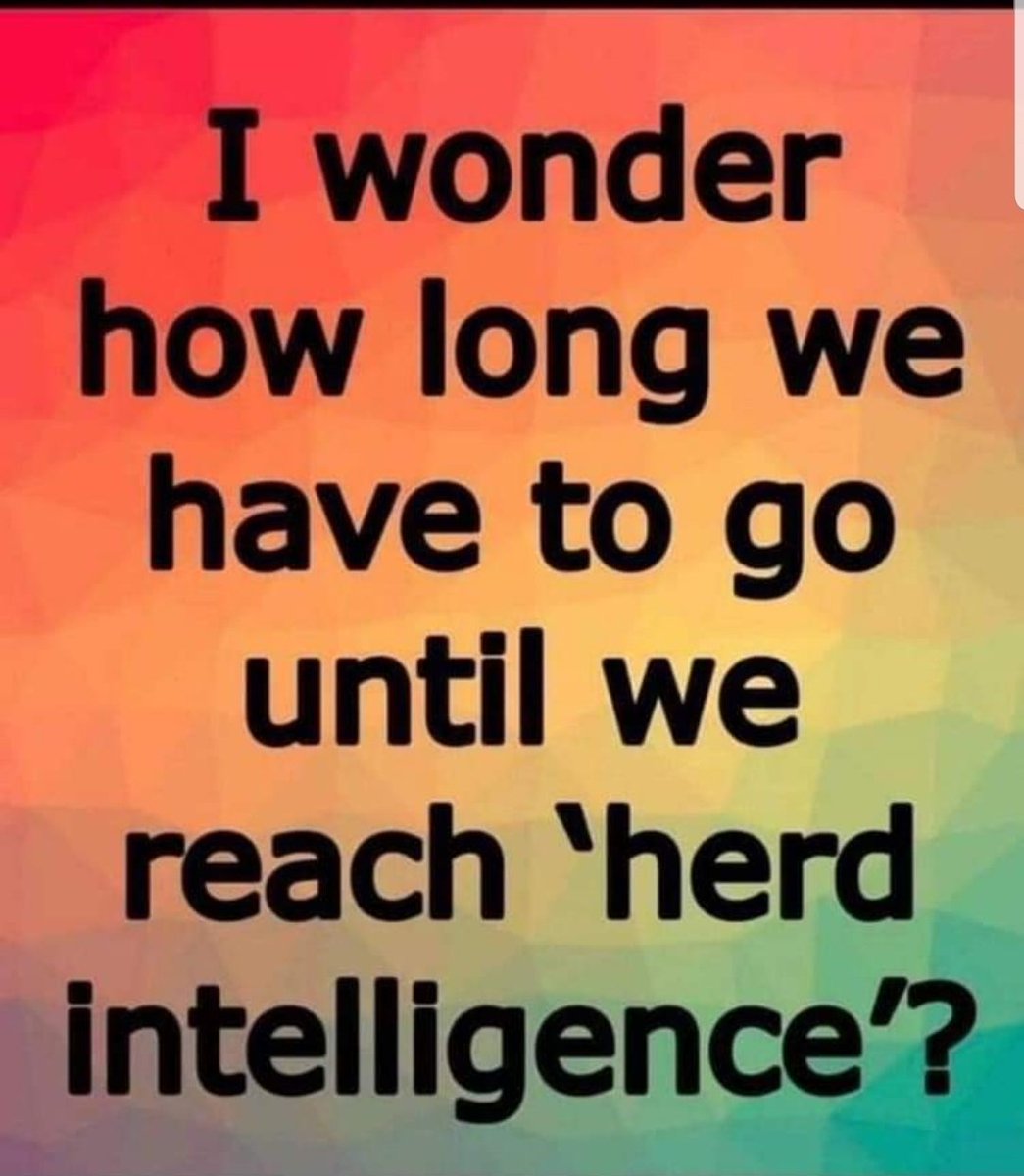 SynnikaLofton's tweet photo. I don't think we ever get there. People are too busy doing their own "research."!! 😂😂😂😂😂😂😂😂😂😂😂😂😂😂😂 https://t.co/lmSWn1vV2V