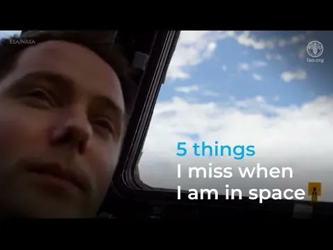 Screenshot from the video.