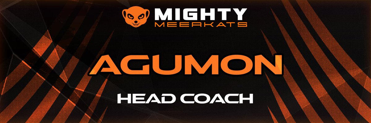 Mighty Meerkats tweet media