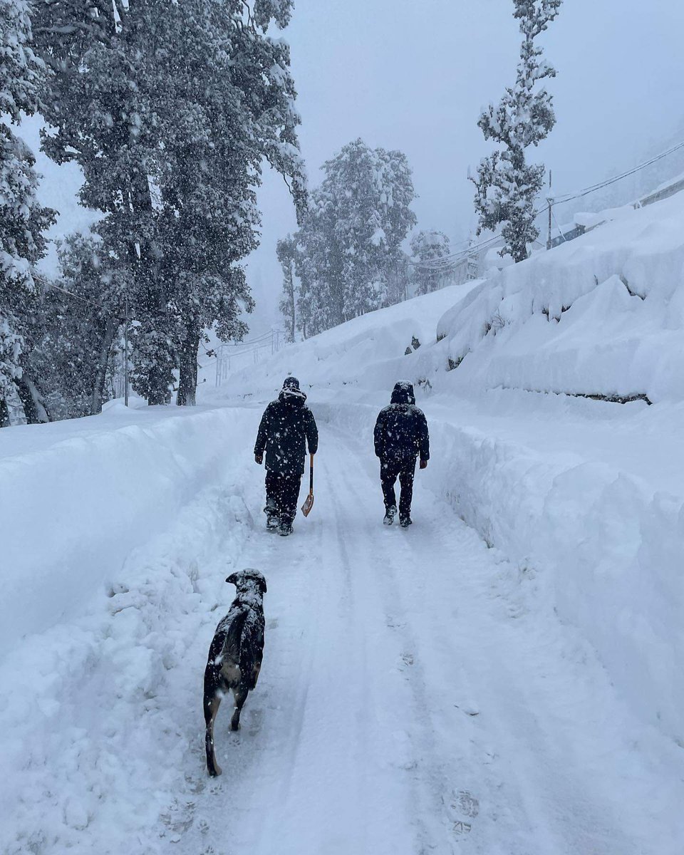 whatsupkamal's tweet photo. ATR dhundhi south portal #HimachalPradesh #ataltunnel #manali #himalayas #snowfall2022 PC prashant https://t.co/p2cOhyZ4ip