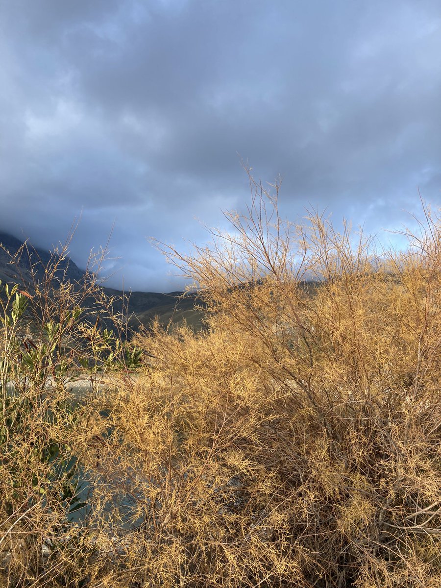 Mestooliveoil's tweet photo. Storm’s a brewing …….
#crete #oliveharvest #winterincrete #heraklion https://t.co/28TBje7lBA