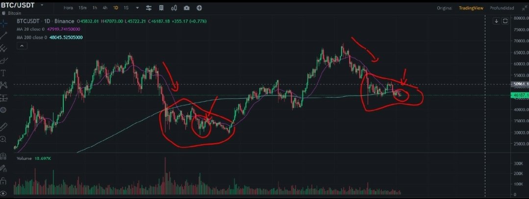 Mundo de Traders tweet media