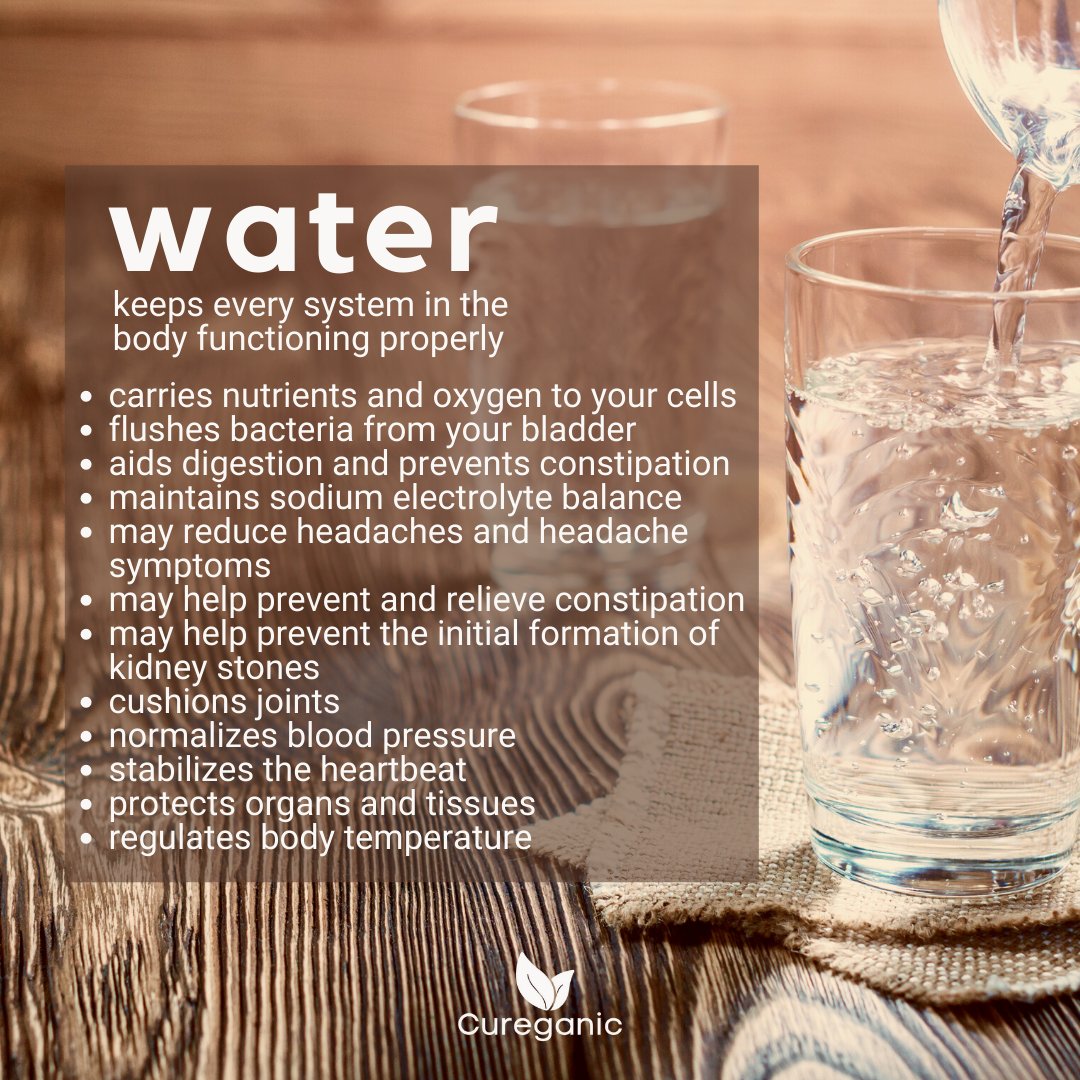 How much water do you drink daily?

Source: bit.ly/3yAAnMg

#cureganic