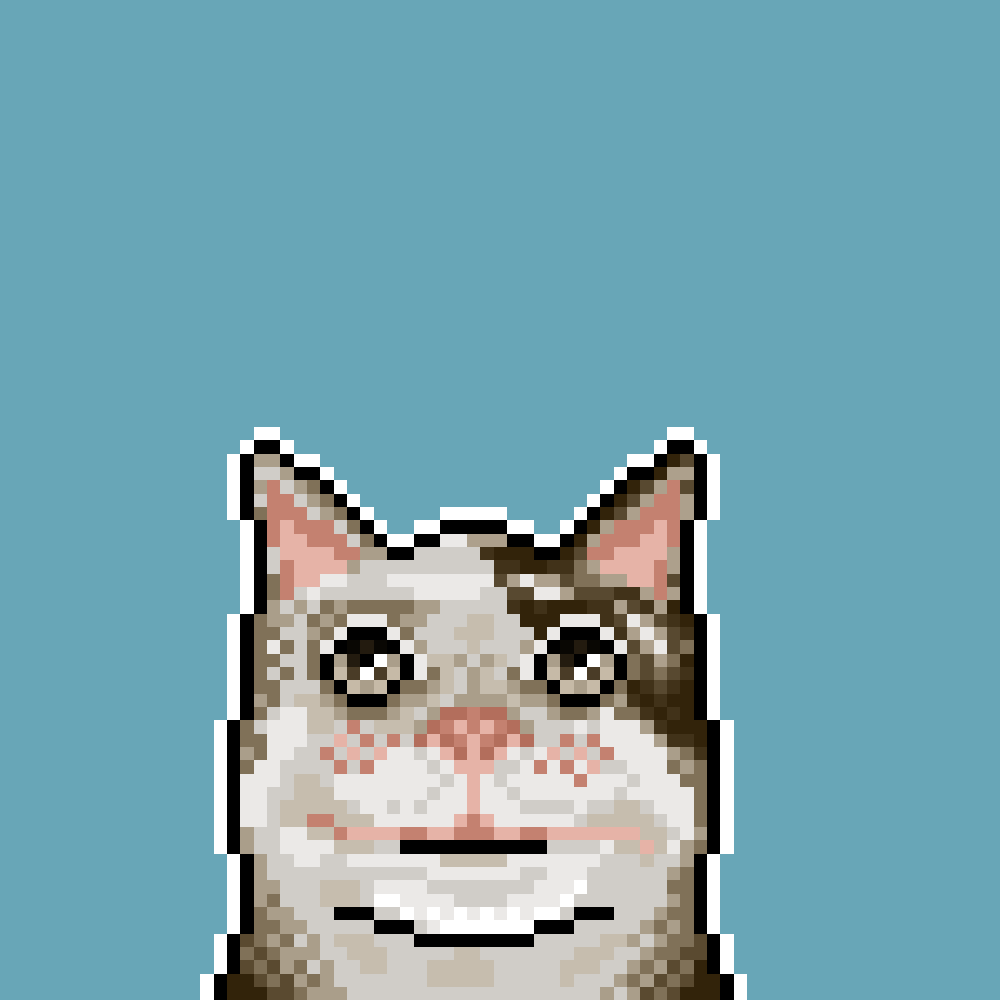 Beluga Cat Art