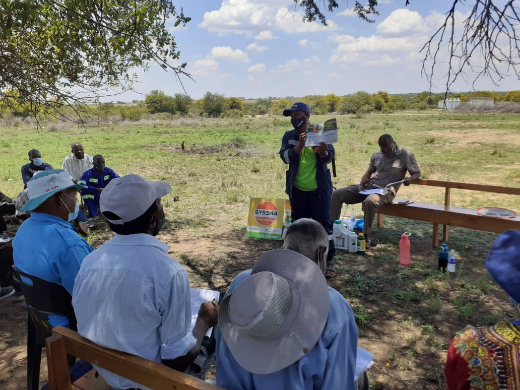 CelinaHatidani's tweet photo. What's your take???
Should your Agronomist have their own field too or they should provide service to you only.
#midnight tweet 
@Saliey1019 
@MpondaSabinus 
@Madanzit 
@mucharedzeyi 
@CropDoc_Onias 
@FarmDudeZW 
@ndakaripa 
@ChembelaJustice 
@lindagabriel263 https://t.co/mxRXP8rGVe