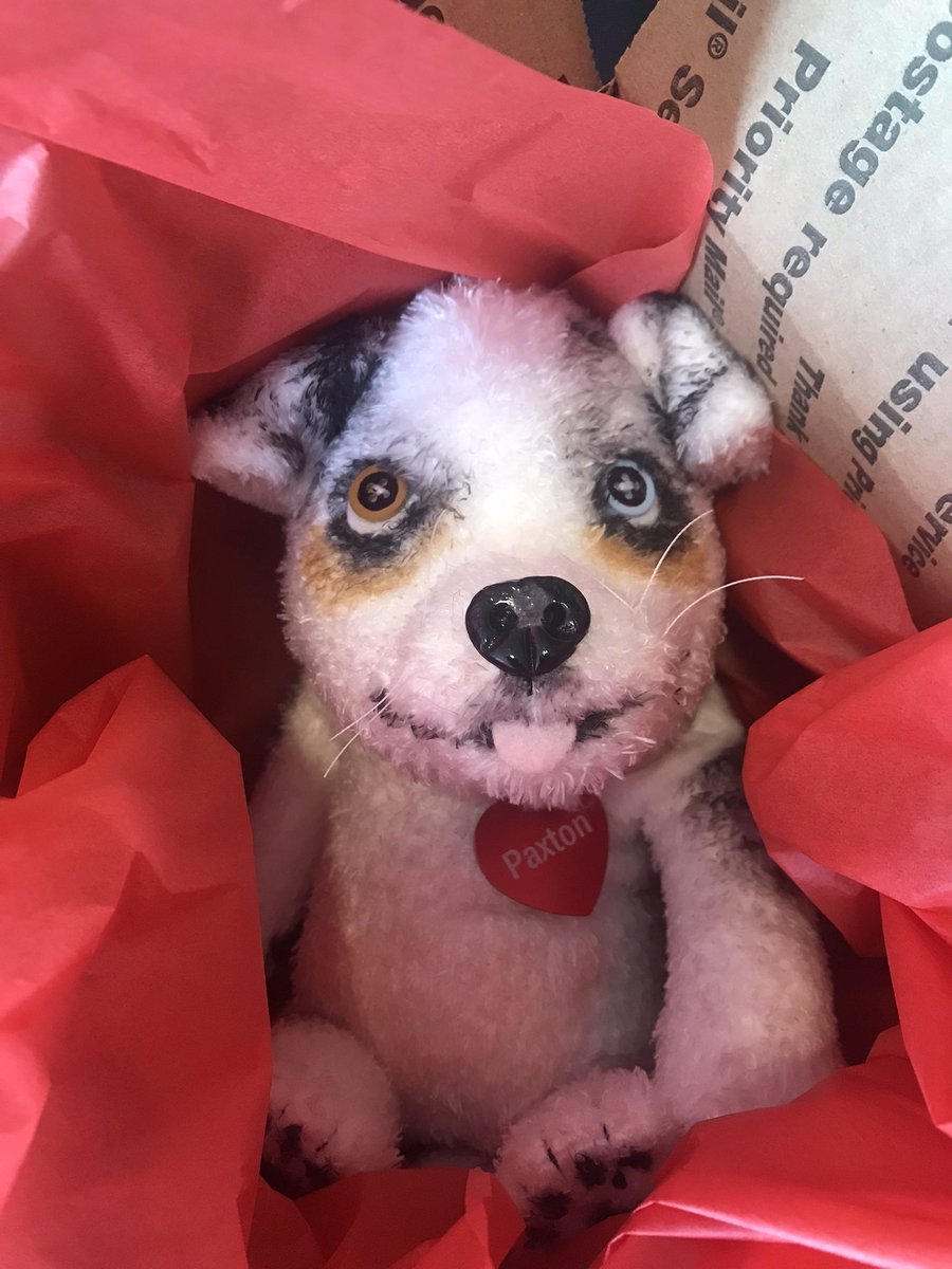 originalsockdog's tweet photo. Headed home to their moms! #petreplicas #alwayspriority https://t.co/sTA9MOuqjw