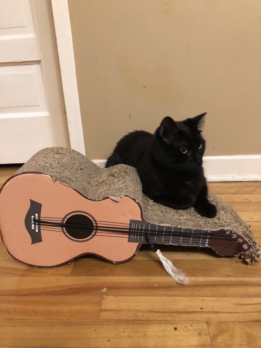 new album cover?