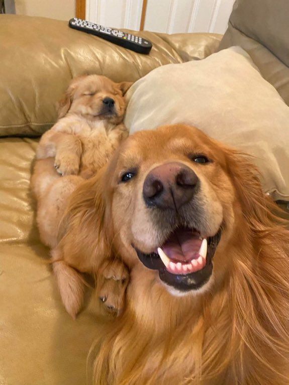 Cuando tu compa se queda dormido en la fiesta.