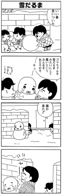 年末年始は毎朝ゴマちゃん!

雪だるまゴマちゃん。

#毎朝ゴマちゃん 