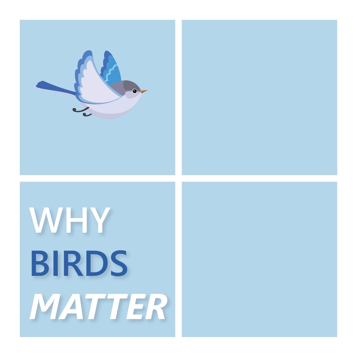BWBR's tweet image. We are excited to celebrate #NationalBirdDay and share the importance of Why Birds Matter not just to our industry but to our environment as a whole! 

#BirdSafeDesign #BirdsMatter #DesignWithPurpose #Architecture #Design