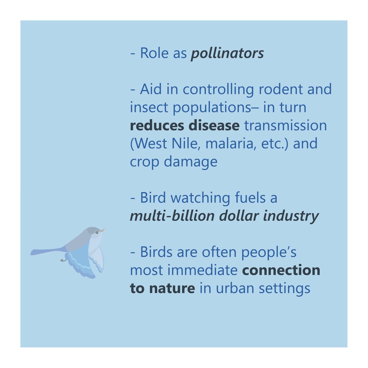 BWBR's tweet image. We are excited to celebrate #NationalBirdDay and share the importance of Why Birds Matter not just to our industry but to our environment as a whole! 

#BirdSafeDesign #BirdsMatter #DesignWithPurpose #Architecture #Design