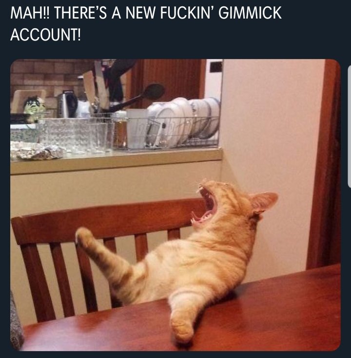 Low Resolution Content tweet media