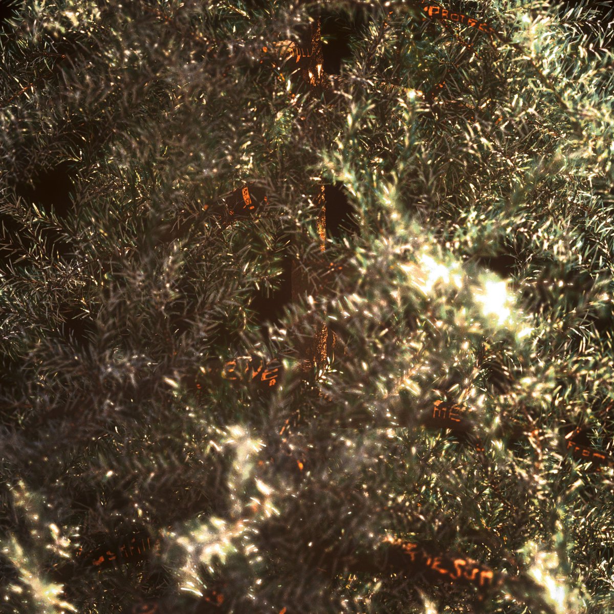 NullC4D's tweet image. [old things]