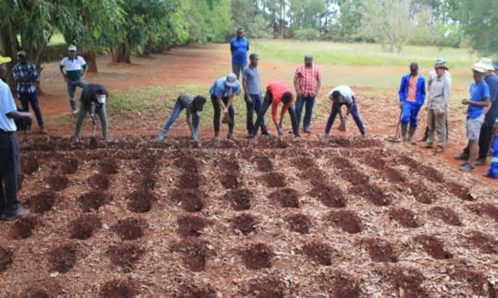 @zanupf_patriots  and  @edmnangagwa Milestone Projects
 ZanuPfMustGo
#RegisterToVoteZW
#RegisterToVote2023
@MDCForLife
@PacheduZW @LynneStactia @cazawaty @efie41209591 @BopelaBopela